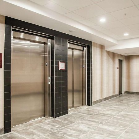 坦帕桑科斯特大道希尔顿花园酒店 鲁兹 外观 照片